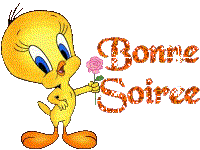 bonne soirée à tous !!